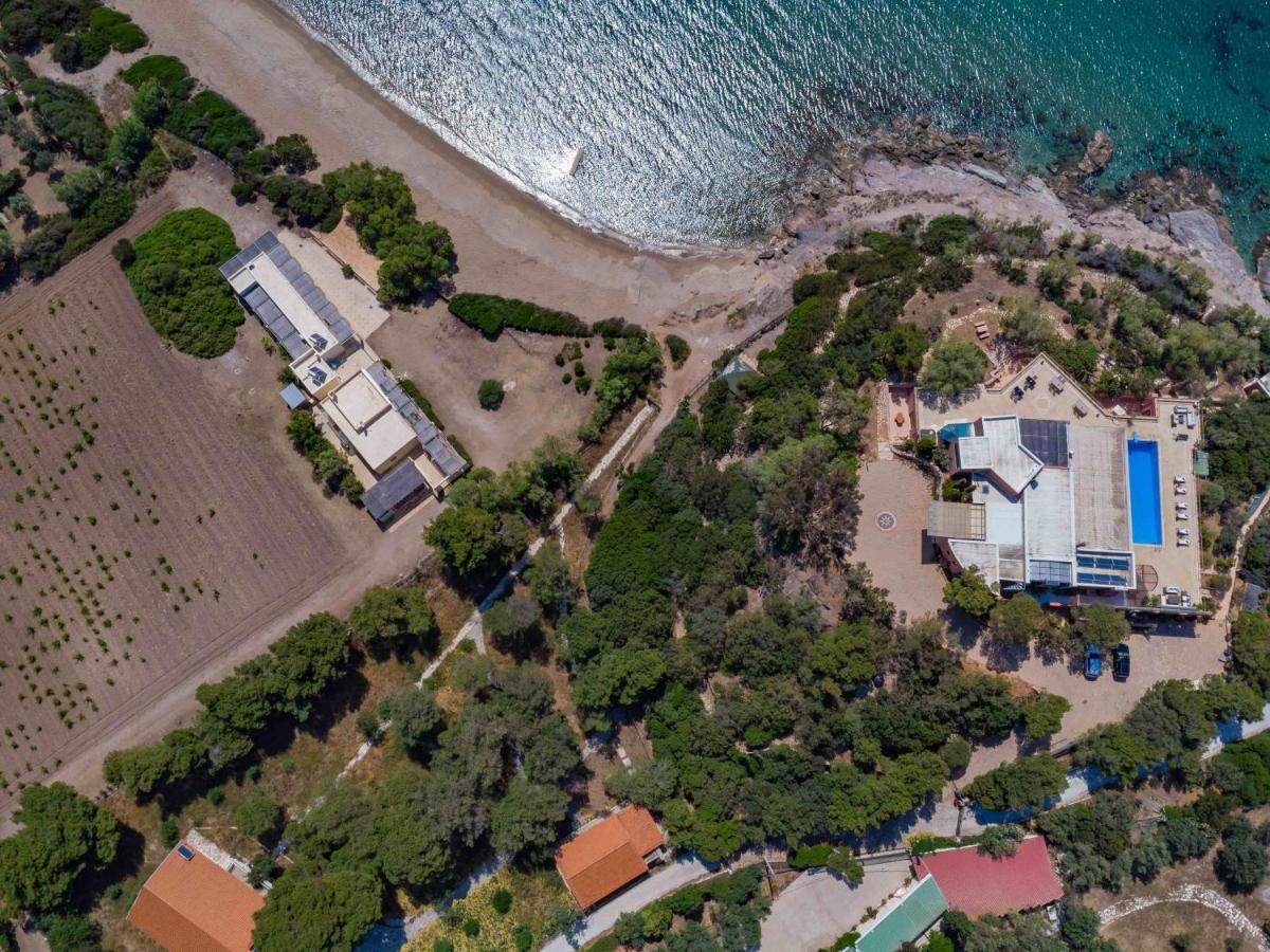 Black Diamond Beachfront Pool Villa Pasithea In Sounio, Athens Сунион Экстерьер фото