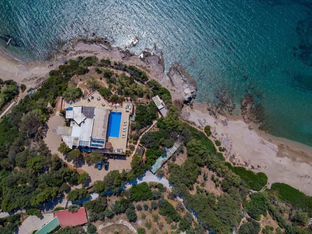 Black Diamond Beachfront Pool Villa Pasithea In Sounio, Athens Сунион Экстерьер фото